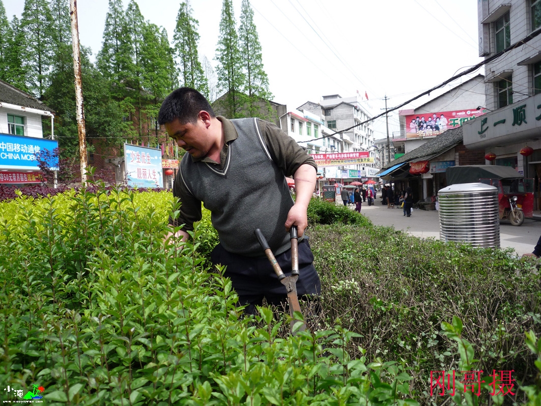 修剪花草.jpg